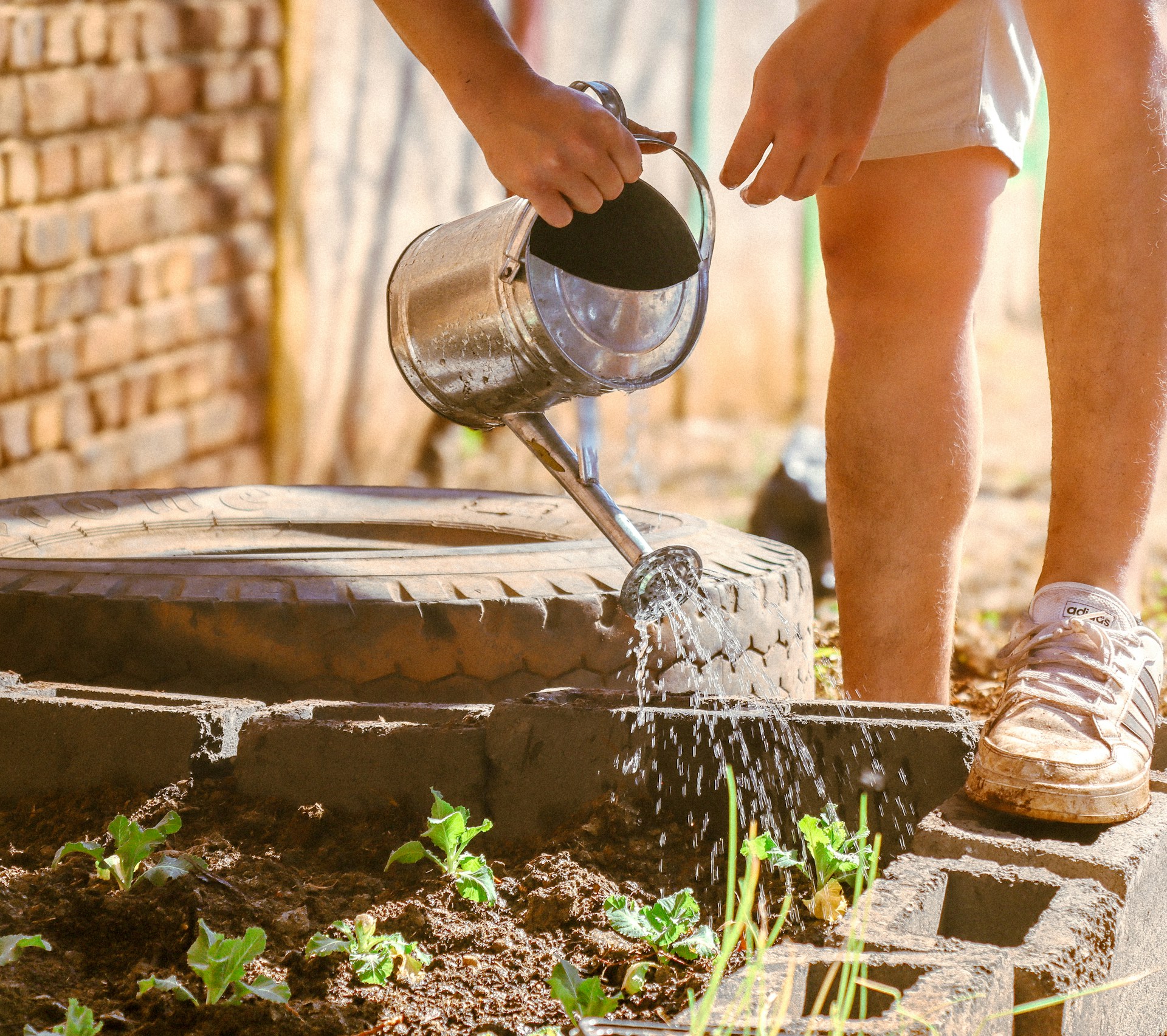 How to plant a garden gardening tips 5
